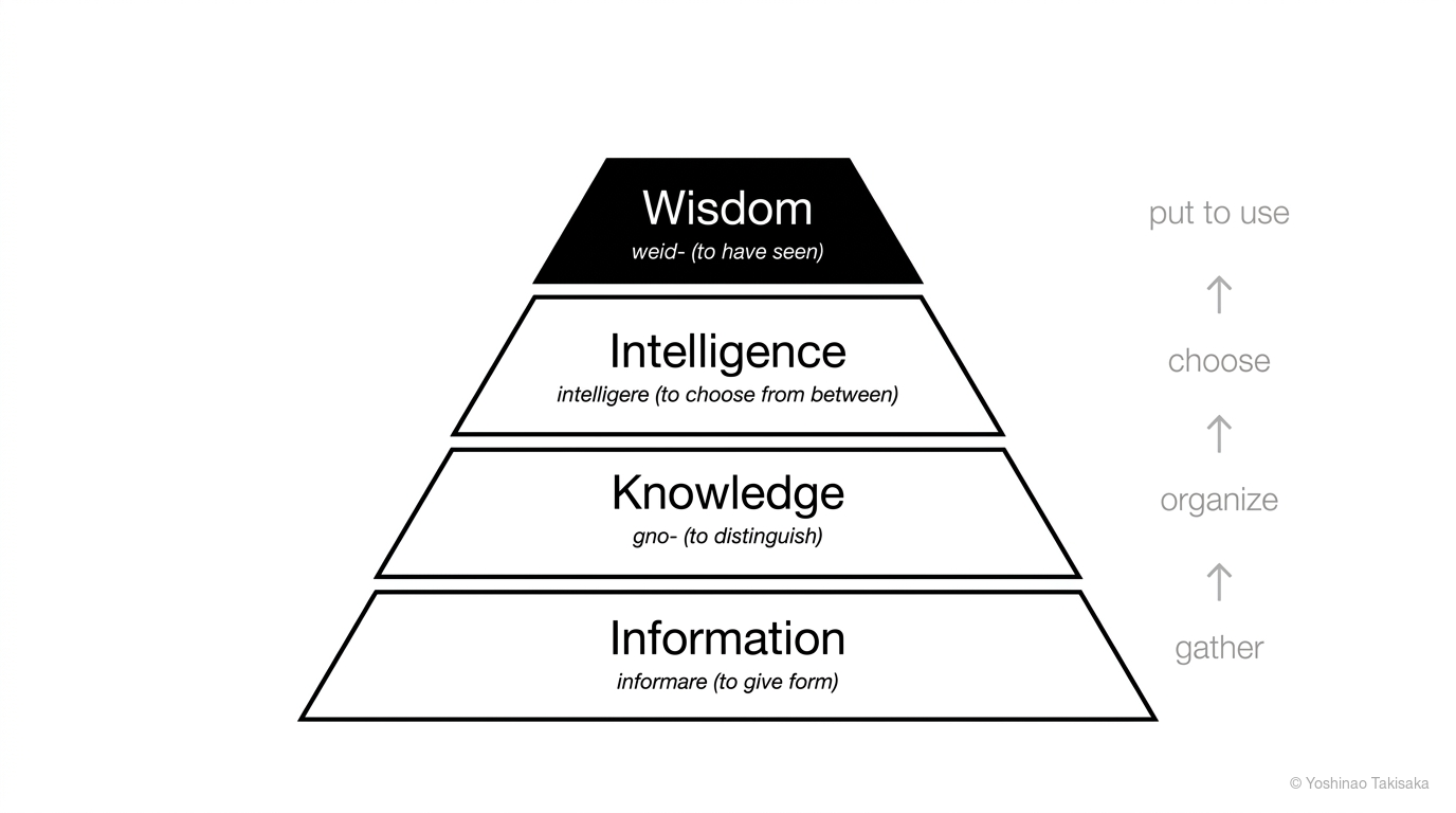 Lineage from information to wisdom